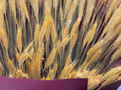 -兴旺欧韩城(上海兴旺国际服饰城店)