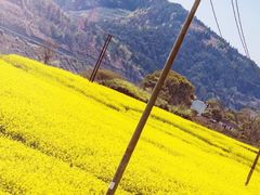 -新安江山水画廊风景区