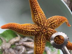 -四囍码头海鲜烧烤自助火锅(外滩南京东路悦荟广场店)