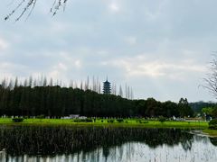 -宜兴龙背山森林公园