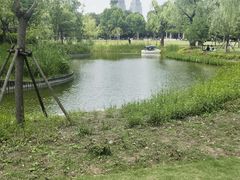 -泗洪洪泽湖湿地景区
