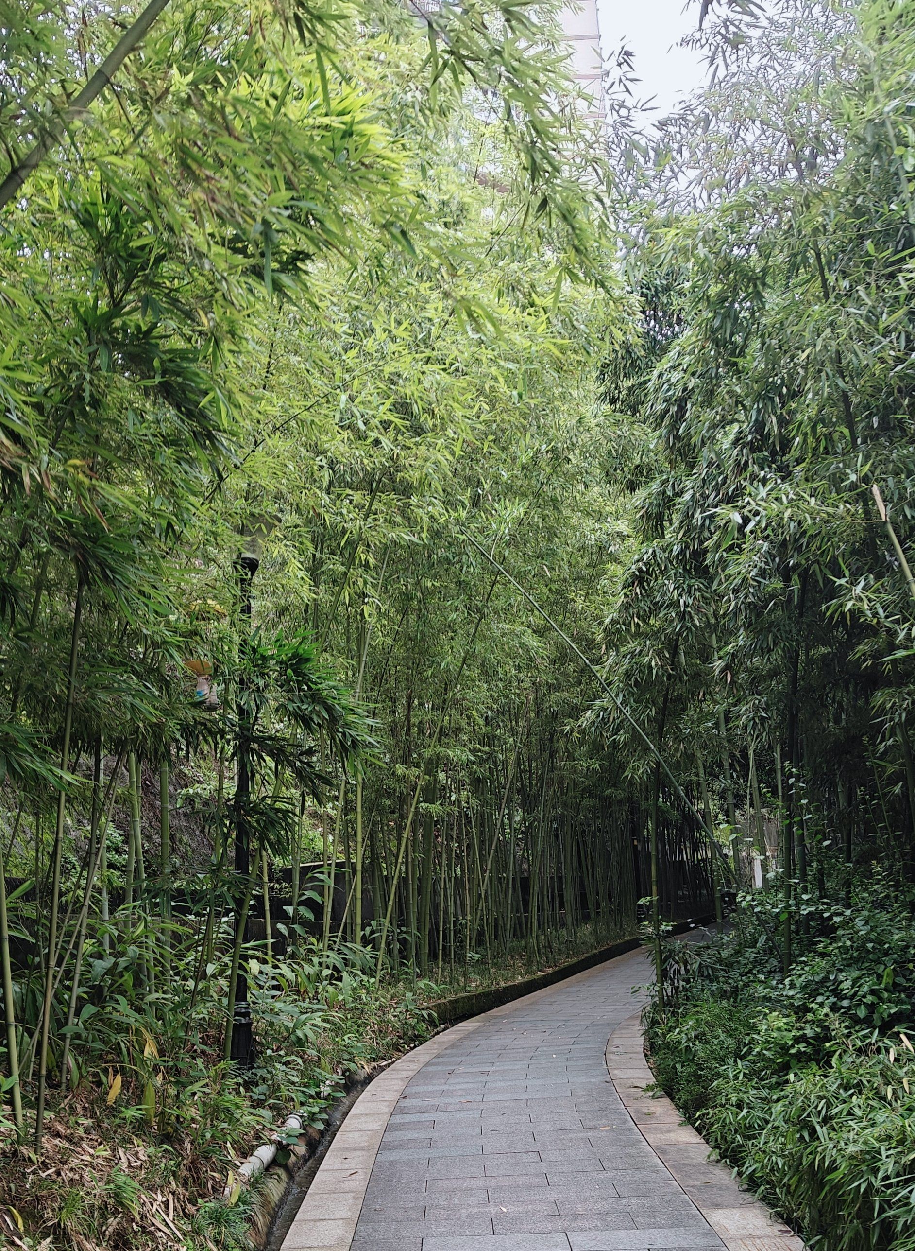 曲径通幽的山间路