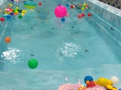 -蓝鲸奇亲子游泳俱乐部