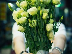 -循礼门鲜花花市(武汉循礼门店)