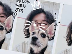 -健身专家Wellness Experts