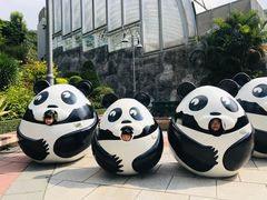 -石排湾郊野公园
