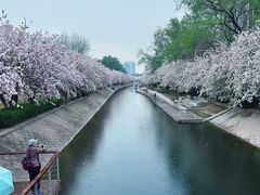 -海棠花溪(元大都城垣遗址公园)