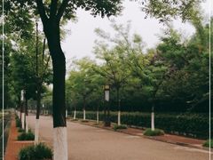 -洛阳市隋唐城遗址植物园