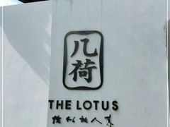 -几荷·恰似故人来(秀水广场店)