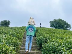 -帐篷客·溪龙茶谷度假酒店