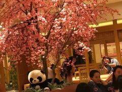 -大江户·温泉洗浴(浑南店)