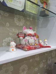 点击看大图 -MUSES专业脱毛比基尼サロン日式连锁