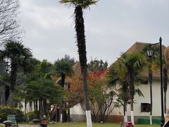 -云南民族村