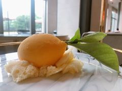 -苏州洲际酒店·大堂酒廊