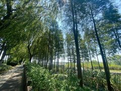 -苏州吴中太湖旅游区