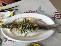 太湖白鱼-湖山人家·湖景餐厅·特色农家菜(太湖西山店)