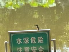 -龙头寺公园