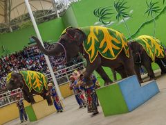 -大连森林动物园