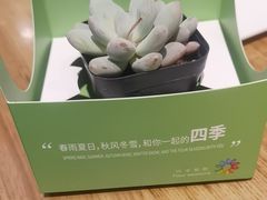 -四季餐厅·新津菜(环湖中路店)