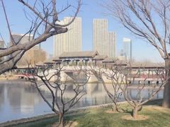 -西海子公园