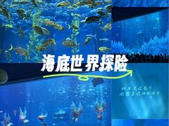 -南昌融创海世界