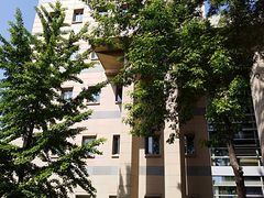 -北京化工大学(东校区)