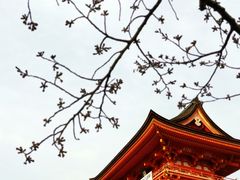 -有栖山 清光院 清水寺