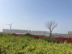 -启东黄金海滩景区