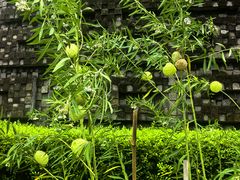 -广州神农草堂中医药博物馆