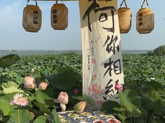 -七的湖·晚芳亭·阳澄湖农家菜·大闸蟹(莲花岛店)