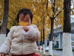 -高庙村(地铁站)