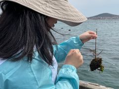 -兴旺渔家