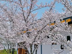 -嘉北郊野公园