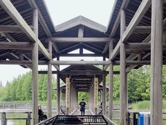 -渤公岛生态公园