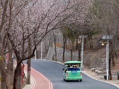 -北京凤凰岭