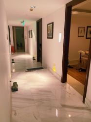 -尊尚柏丽美容SPA