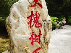 -大槐树寻根祭祖园