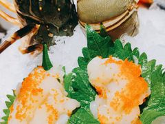 小青龙刺身-王鼎精致料理铁板烧(世博源店)