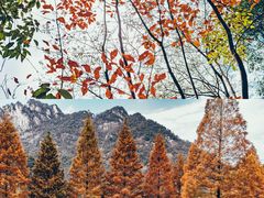 -大明山自然探索公园