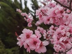 -郑州植物园
