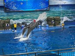 -多彩贵州城极地海洋世界