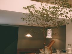 -SAFARI COFFEE