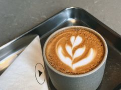 澳白-SAANCI山池咖啡(卓悦中心店)