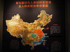 -圩墩遗址公园