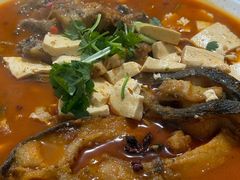 -煲来饱去冷水鱼