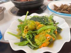 -翡翠老鸭店