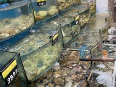 水产区-渔中舟海鲜大排档(普陀沈家门店)