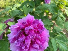 -合肥三国新城遗址公园