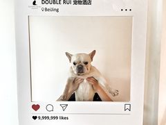 -Double Rui宠物酒店
