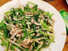 -小叶大馅饺子城